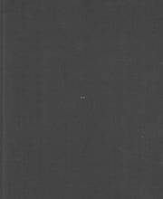 Load image into Gallery viewer, 'blank', 2020, James Webb