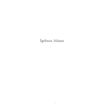 Load image into Gallery viewer, 'Igshaan Adams' (2015)