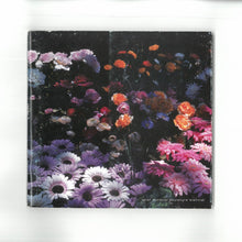 Load image into Gallery viewer, ‘Spier Outdoor Sculpture Biennial’ (2001)