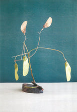 Load image into Gallery viewer, Pear_ed Evidence Prints