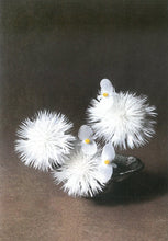 Load image into Gallery viewer, Pear_ed Evidence Prints