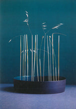 Load image into Gallery viewer, Pear_ed Evidence Prints