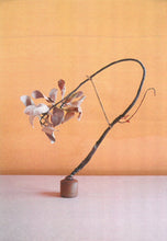 Load image into Gallery viewer, Pear_ed Evidence Prints