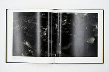 Load image into Gallery viewer, 'The Hasselblad Award 2016' (2016)