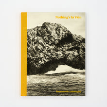 Load image into Gallery viewer, 'Nothing's in Vain' (2017)