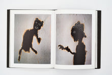 Load image into Gallery viewer, 'Resurrected' (2016)