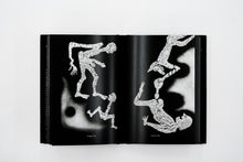 Load image into Gallery viewer, 'The Theatre of Apparitions' (2016)