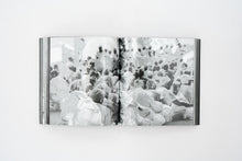 Load image into Gallery viewer, 'Incoming' (2017)