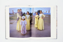 Load image into Gallery viewer, 'Rainbow Transit' (2013)