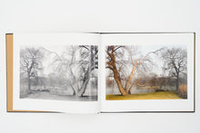 Load image into Gallery viewer, Daylight Ghosts - History, Myth, Memory (2018)