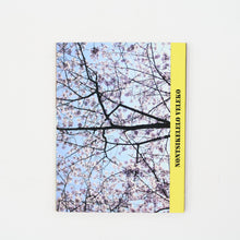 Load image into Gallery viewer, Wonderland (2008)