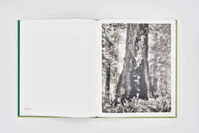 Load image into Gallery viewer, 'Live Burls: Poaching the Redwoods' (2017)