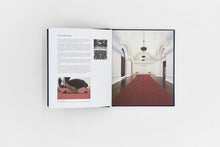 Load image into Gallery viewer, 'blank', 2020, James Webb