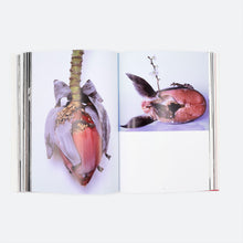 Load image into Gallery viewer, 'Araki' (2014)