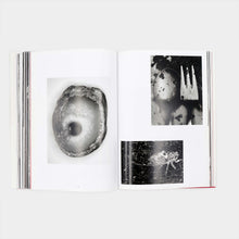 Load image into Gallery viewer, 'Araki' (2014)