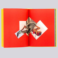 Load image into Gallery viewer, Aikaterini Gegisian, Handbook of the Spontaneous