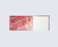 Load image into Gallery viewer, 'Liza Grobler - Blindfolded Line, Dancing Through Time' (2014)