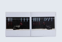 Load image into Gallery viewer, 'Paries Pictus' (2013)