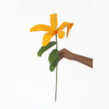 Load image into Gallery viewer, Yellow Tiger Lily (2022)