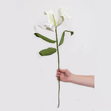 Load image into Gallery viewer, White Madonna Lily (2022)