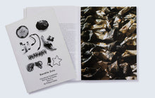 Load image into Gallery viewer, 'TAXI-012: Sandile Zulu' (2005)