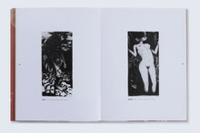 Load image into Gallery viewer, 'While the Harvest Rots: Possessing Worlds of Kudzanai Chiurai’s Art' (2017)