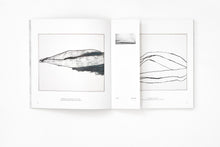 Load image into Gallery viewer, 'Jared Ginsburg' (2017)