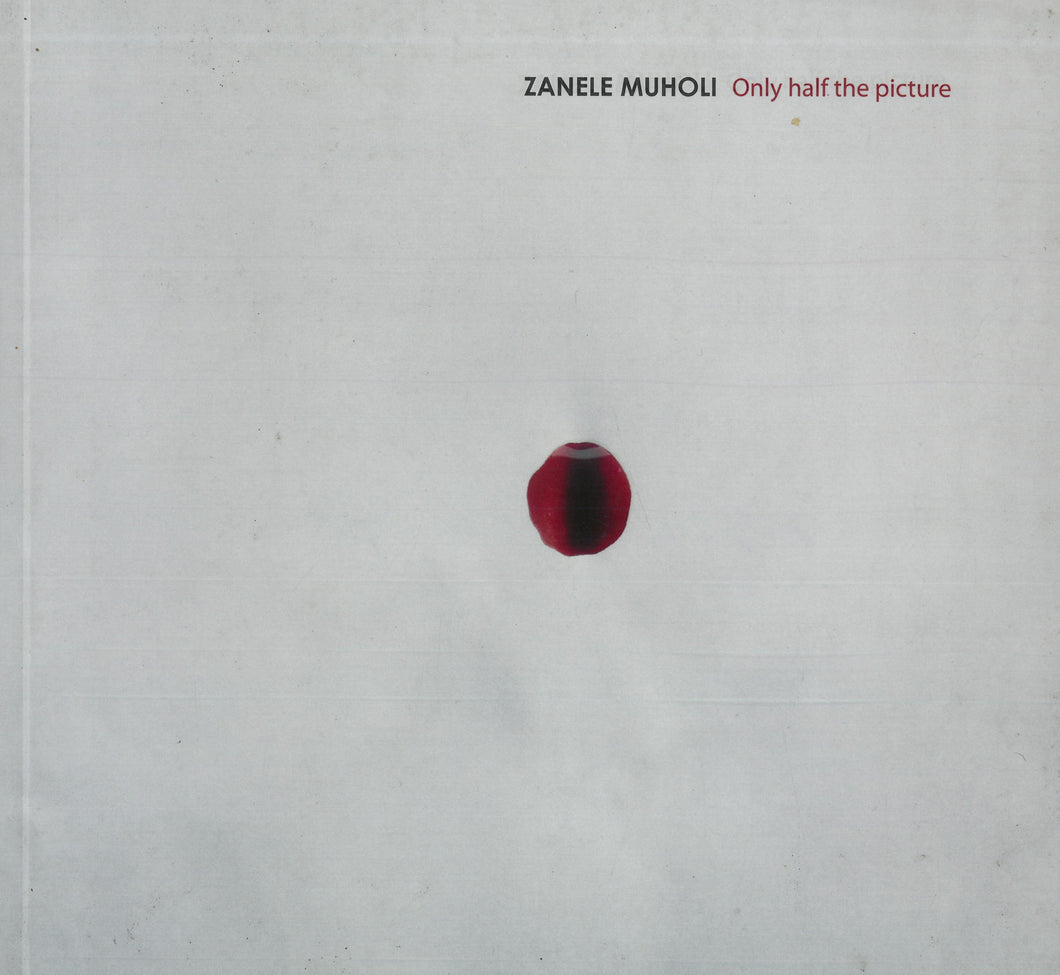 Only Half the Picture