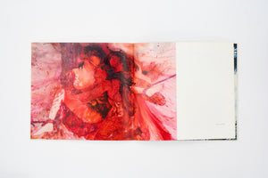 'PENNY SIOPIS PAINTINGS' (2009)