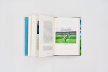 Load image into Gallery viewer, Spring Cannot be Cancelled : David Hockney in Normandy
