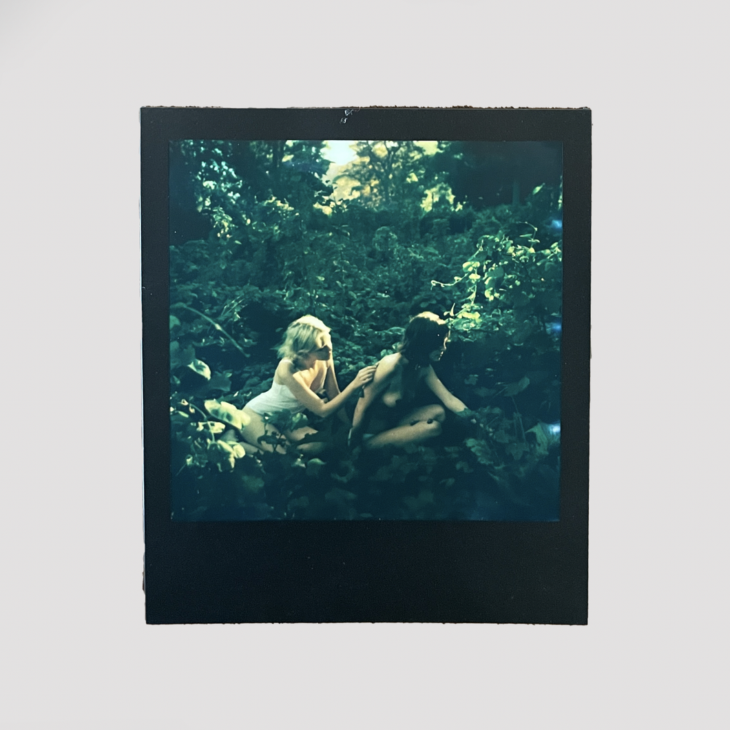 Poison Ivy Polaroid