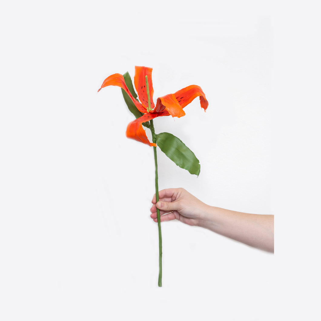 Orange Tiger Lily (2022)