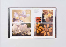 Load image into Gallery viewer, &#39;Namaqualand&#39; (1981)
